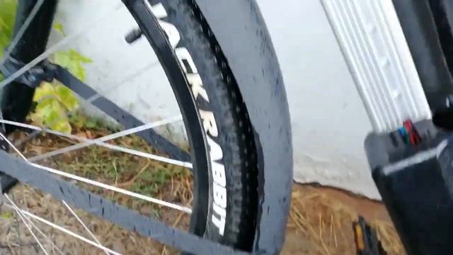 Электровелосипед после прогулки под дождём с грузовым велоприцепом. смотреть онлайн