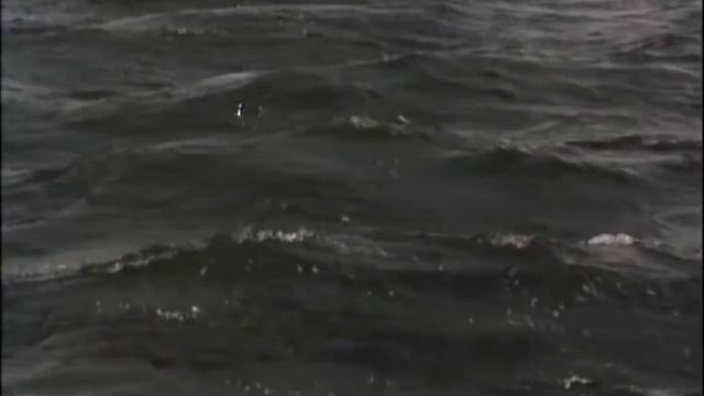 Дай Бог.. автор Евгений Евтушенко смотреть онлайн