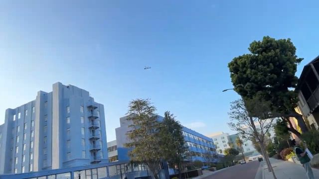 Scientology Called The Cops Like Always… 💀 смотреть онлайн