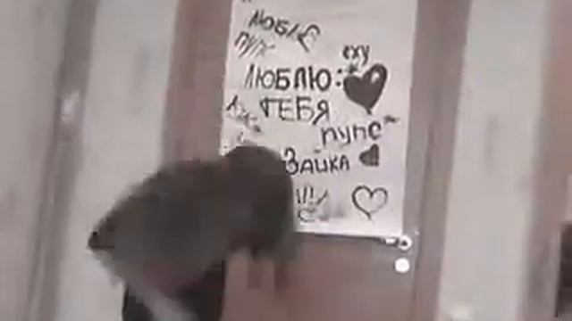 День Рождения:з смотреть онлайн