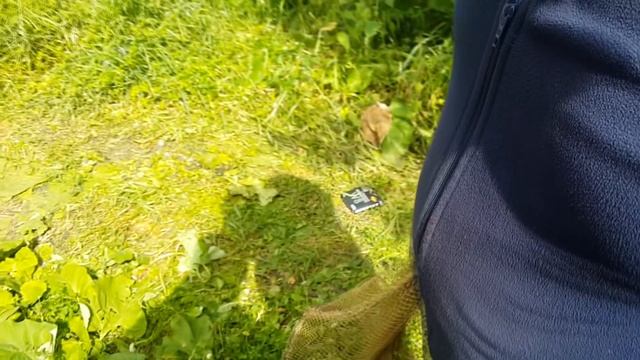 Рыбалка на подъЁмник 2018 . Рыбалка на паук летом с моста. Сазан на 7 кг. Рыба моей мечты. смотреть онлайн
