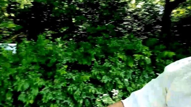 Обращение к Президенту и Английской Королеве о парке в г.Родники смотреть онлайн