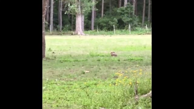 Уругвай природа Uruguay Natural