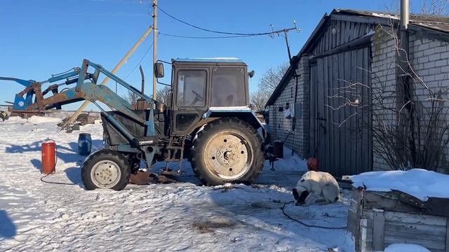 Пригнали коров на ферму с выпасов смотреть онлайн
