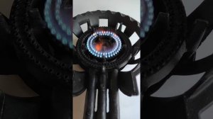 Чугунная газовая горелка LPGBurn GB-40 12 кВт