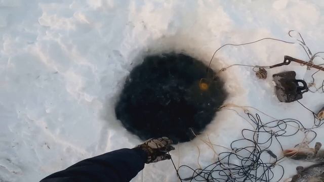 Проверка радует. ЕСТЬ ХОРОШИЙ БОНУС. #рыбалка #туруханск #енисей смотреть онлайн