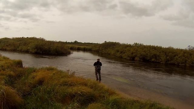 Ловля кеты нахлыстом на Сахалине с клубом Fly Fishing смотреть онлайн