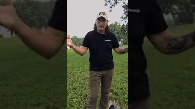 Day 147 High Prey Drive Dogs смотреть онлайн