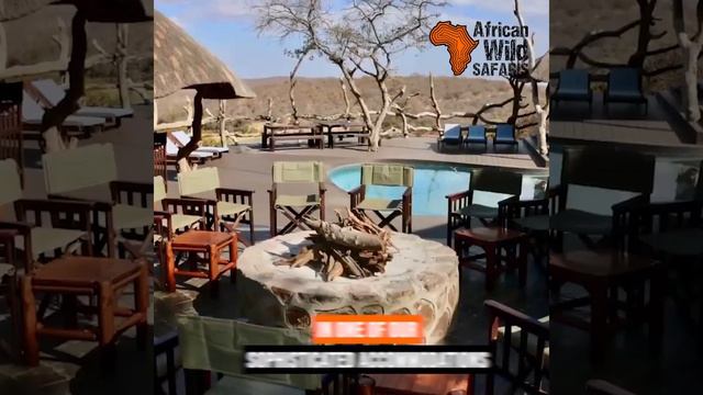 South African Hunting Outfitters | African Wild Safaris (MUST WATCH!) смотреть онлайн