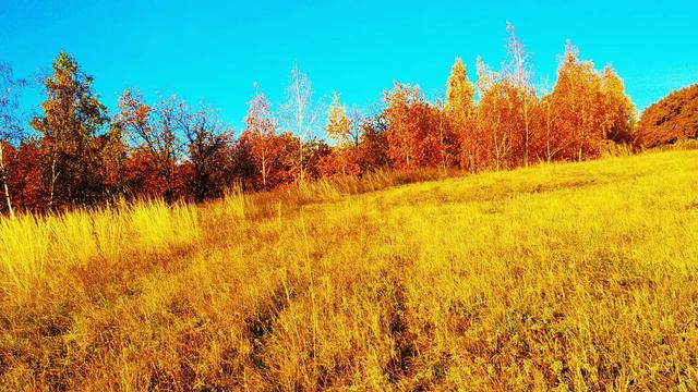Яны жырлар смотреть онлайн