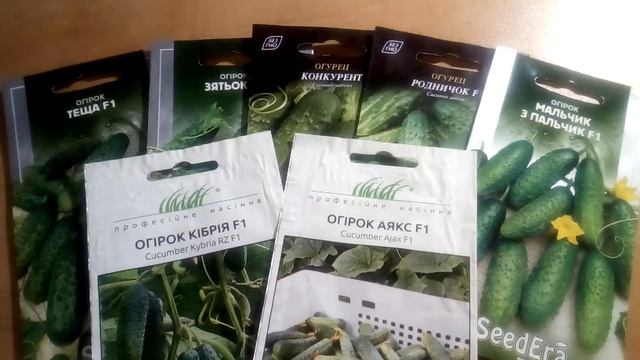 огурцы лучшие урожайные пучковые. смотреть онлайн