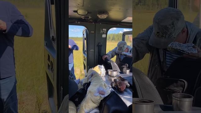 Природа Карелии/Прионежский район/Мы на болотах.../Спасибо Базе отдыха Hunter Paradise/20.08.20