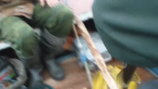 Щука сенсоры и вибриссы Соловьев Юрий Тимофеевич смотреть онлайн