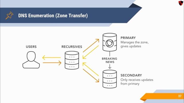 [HINDI] What is DNS Zone Transfer? | Types of Zone Transfers | DNS Enumeration смотреть онлайн