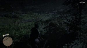 Какая лошадь самая храбрая или это миф? | Red Dead Redemption 2