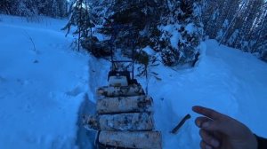 МОТОСОБАКА ТАЩИТ ПОЛТОННЫ! ДЕРЕВЕНСКАЯ ЖИЗНЬ, ЗАГОТОВКА ДРОВ.