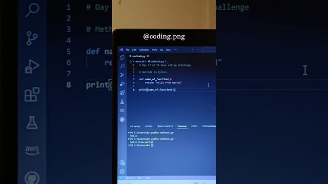 Method in Python || Day 17 of 75 || @Codingpng смотреть онлайн