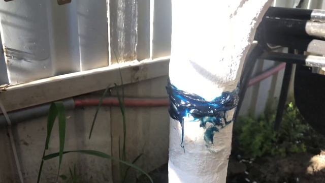 Ловчий пояс от муравьёв ,из подручных средств смотреть онлайн