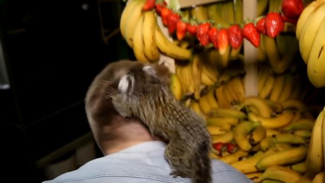 ДОМ ИЗ БАНАНОВ - DIY смотреть онлайн