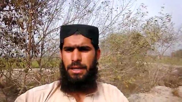 Benefits of NPK 20 20 20 смотреть онлайн