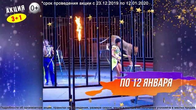 Цирк Vivat в Тобольске смотреть онлайн