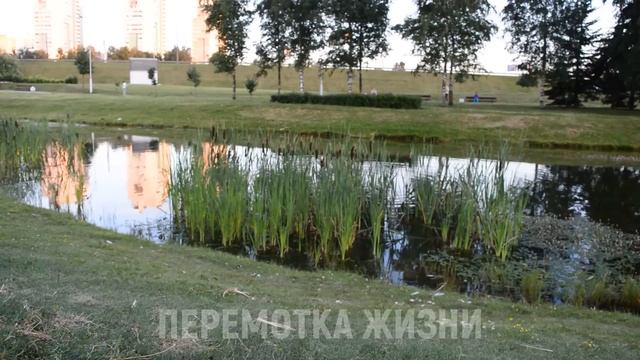 В ПЕРВЫЙ РАЗ БЫЛО ТУГО, ЗАХОТЕЛОСЬ ПОВТОРИТЬ... Истории из жизни людей Аудио рассказы слушать смотреть онлайн