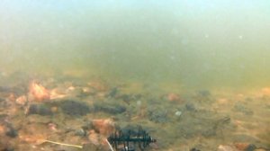 Мандула Игра приманки под водой Супер снасть на судака