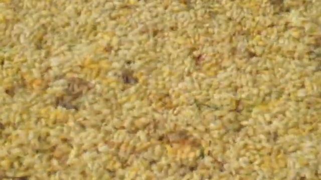 Вкусные каши: рецепты и советы