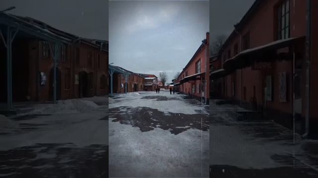 Зимняя прогулка 2022