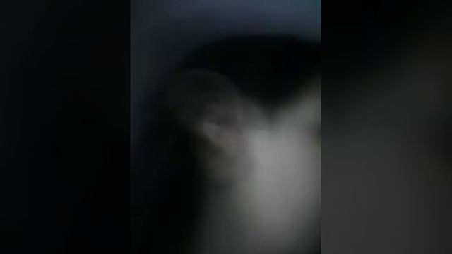 Гироскутер, Сумасшедшие брат и сестра смотреть онлайн