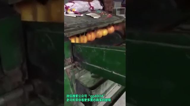 Как делают мандарины китайцы смотреть онлайн