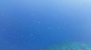 Клип Многоточие-Дыши (Взгляни на небо)