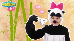 Смешарики и ПАНДИ - Готовим китайские пельмени