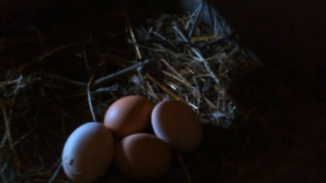 Супер чипсы из карася. Готовьте каждые выходные. смотреть онлайн