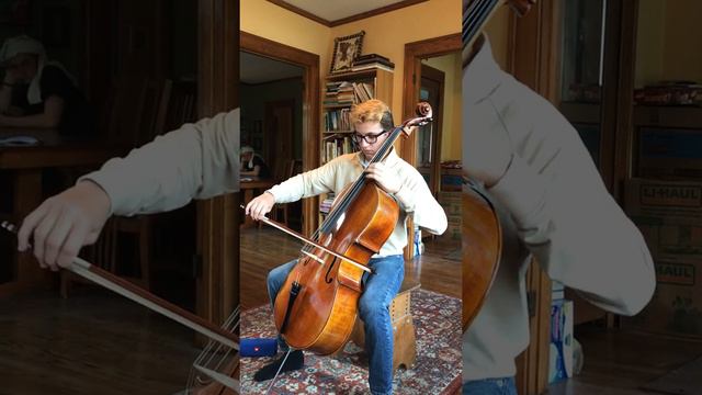 Swan, from carnival of the animals - Saint-Saens смотреть онлайн