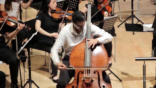 Dittersdorf Concerto-Mov 1 смотреть онлайн