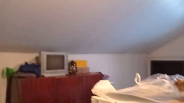 где зимой живут лилии? смотреть онлайн