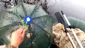 Ловим ротана в китайскую мордушку и раколовку.