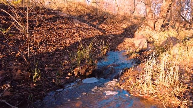 Шум Ручья. Небольшой ручей рядом с заливом. смотреть онлайн