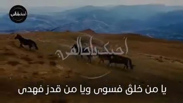 Дуа Для всех дагестанцев смотреть онлайн