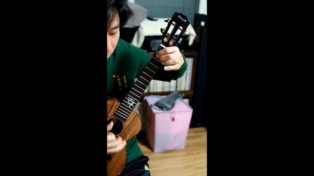 Enya EUT-K5 Ukulele Sound смотреть онлайн