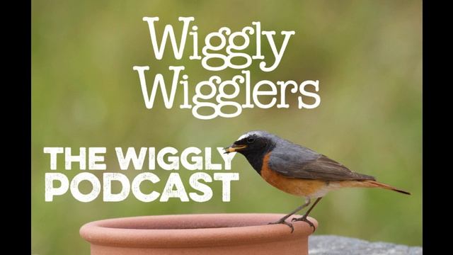 Wiggly Podcast 0106 смотреть онлайн