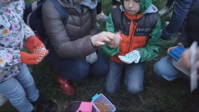 Выпуск летучих мышей после реабилитации и зимовки. 14 мая 2022. смотреть онлайн