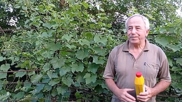 @Уход за виноградом. Схема подкормок по листу смотреть онлайн