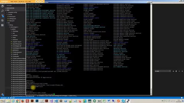 ASP.NET Core Angular - 25 Deploy part2 смотреть онлайн