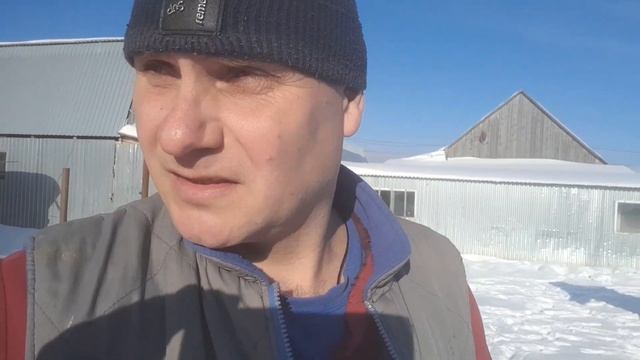 Стадо или привязь. Ответ для подписчицы. смотреть онлайн