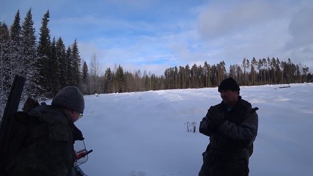 Охота на зайцев с гончими! Опыт берет свое, а молодые охотники изучают лес! Кировская область смотреть онлайн