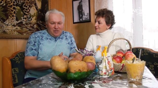 Почему картофель плохо хранится Разбираем ошибки хранения смотреть онлайн