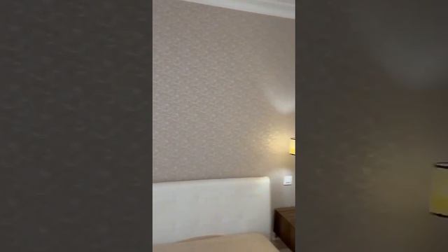 Алексеева 24 смотреть онлайн