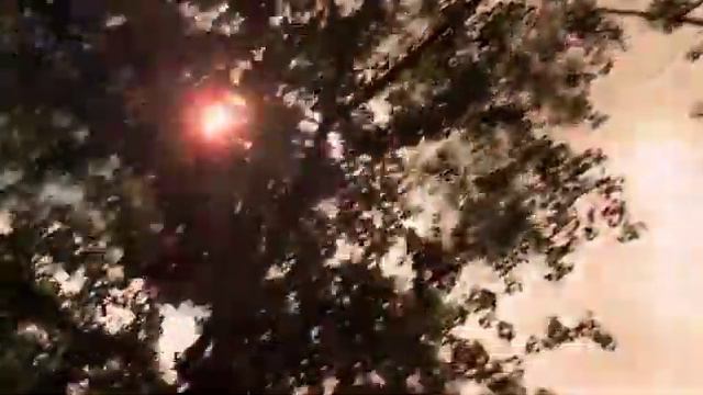 Taylor Swift Crazier Official Music Video